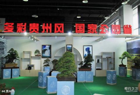 第八届中国花博会[常州]旅游攻略 之 贵州馆