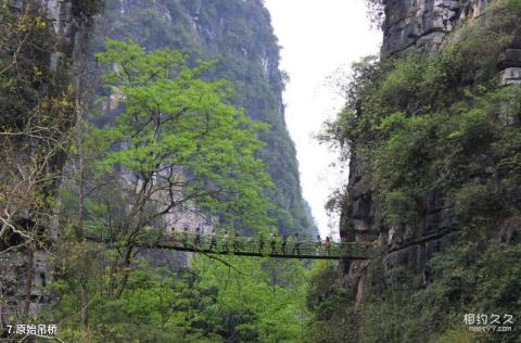 阳朔蝴蝶泉旅游景区旅游攻略 之 原始吊桥