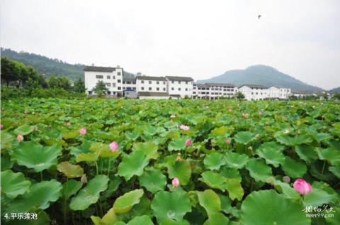 广元平乐旅游区旅游攻略 之 平乐莲池 广元平乐旅游区旅游攻略 之 平乐莲池