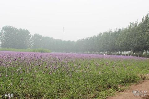 天津水高庄园旅游攻略 之 百花园 天津水高庄园旅游攻略 之 百花园