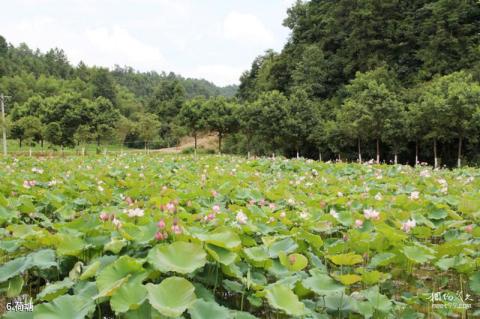 长沙浏阳胡耀邦故里旅游区旅游攻略 之 荷塘