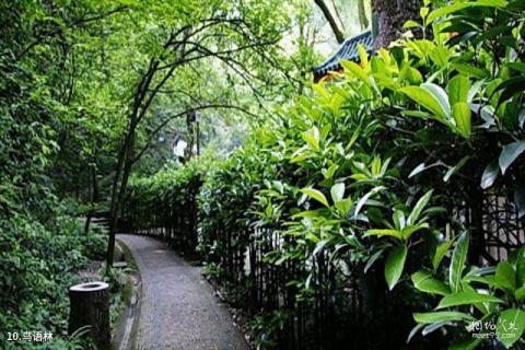 岳麓山风景名胜区旅游攻略 之 鸟语林 岳麓山风景名胜区旅游攻略 之 鸟语林