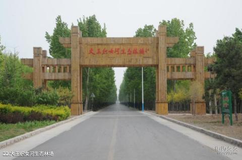 东营广饶刘集红色旅游区旅游攻略 之 大王织女河生态林场