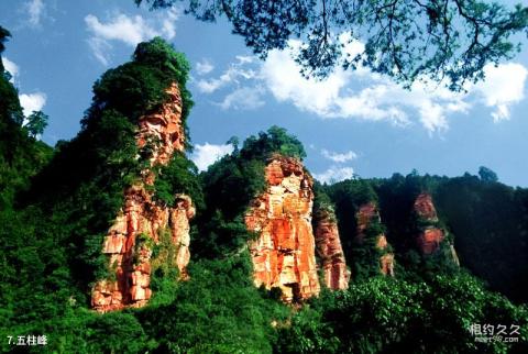 赤水佛光岩景区旅游攻略 之 五柱峰 赤水佛光岩景区旅游攻略 之 五柱峰