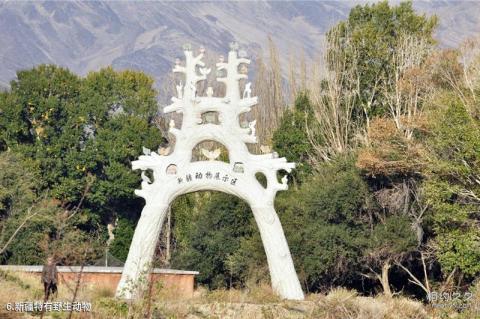 新疆天山野生动物园旅游攻略 之 新疆特有野生动物