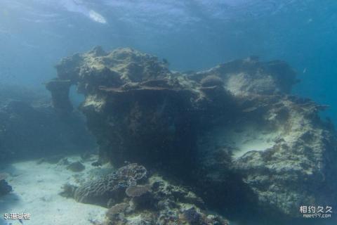 苍鹭岛海底风光旅游攻略 之 珊瑚礁