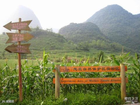 荔波茂兰喀斯特森林旅游攻略 之 试验区