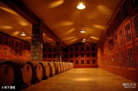 银川巴格斯酒庄旅游攻略 之 地下酒窖