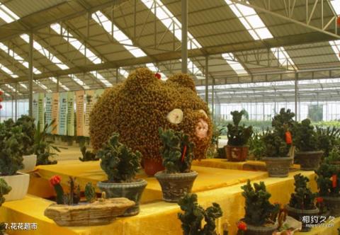 南宁花花大世界旅游攻略 之 花花超市 南宁花花大世界旅游攻略 之 花花超市