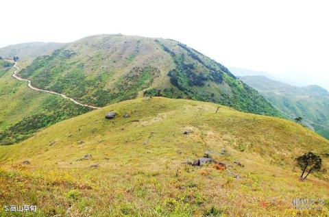 闽侯大湖仙山旅游攻略 之 高山草甸 闽侯大湖仙山旅游攻略 之 高山草甸
