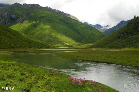 四姑娘山风景区旅游攻略 之 花海子