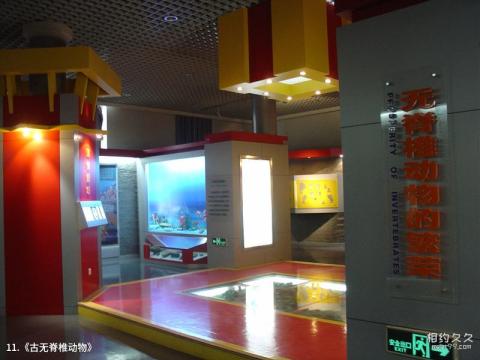 北京自然博物馆旅游攻略 之 《古无脊椎动物》 北京自然博物馆旅游攻略 之 《古无脊椎动物》