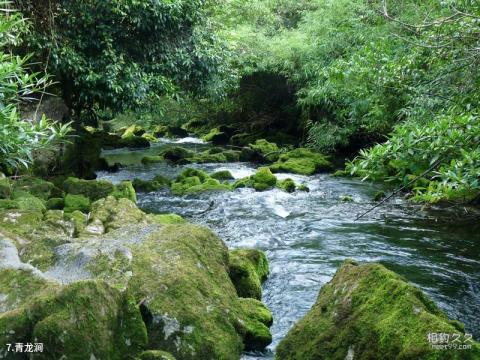 荔波茂兰喀斯特森林旅游攻略 之 青龙涧 荔波茂兰喀斯特森林旅游攻略 之 青龙涧
