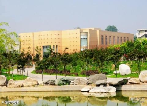 杨凌农业博览园旅游攻略 之 植物博物馆 杨凌农业博览园旅游攻略 之 植物博物馆