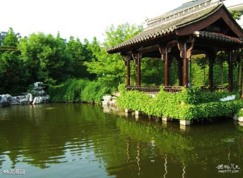 衢州孔庙旅游攻略 之 后花园