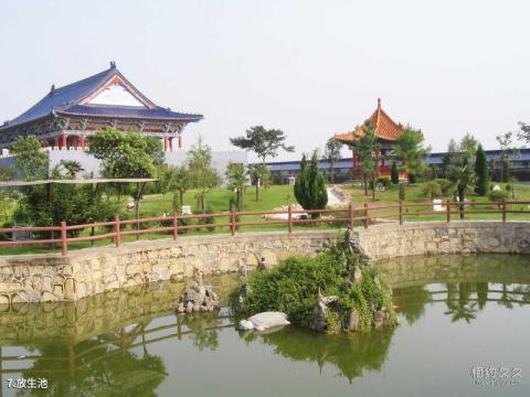 长葛中州人文纪念园旅游攻略 之 放生池
