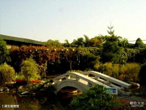 漳州花博园旅游攻略 之 萌生植物馆