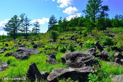 黑龙江红星湿地国家级自然保护区旅游攻略 之 红星火山岩地质公园 黑龙江红星湿地国家级自然保护区旅游攻略 之 红星火山岩地质公园