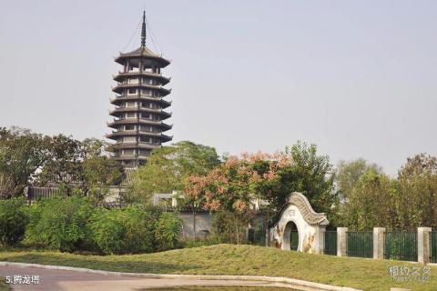 贾汪卧龙泉生态园旅游攻略 之 腾龙塔