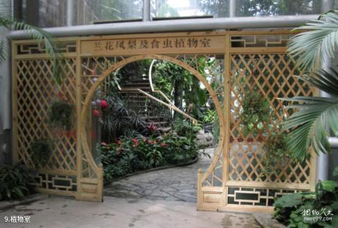 中科院北京植物园旅游攻略 之 植物室