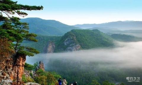 吉林仙景台风景名胜区旅游攻略 之 长寿松