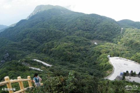 广西猫儿山国家级自然保护区旅游攻略 之 原始林海