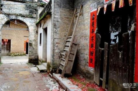 平乐榕津古榕群旅游攻略 之 榕津