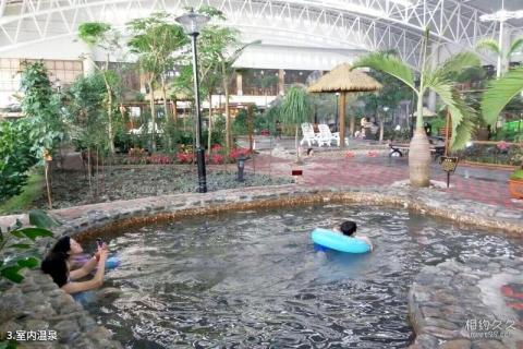哈尔滨大顶子山温泉旅游区旅游攻略 之 室内温泉