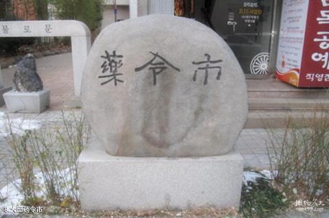 韩国大邱市旅游攻略 之 大邱药令市