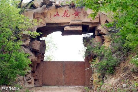 九龙山国家森林公园旅游攻略 之 黄花山景区