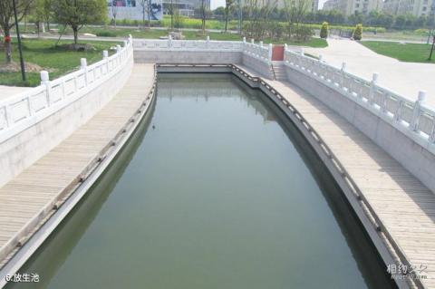 苏州昆山慧聚寺旅游攻略 之 放生池