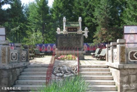 绥化金龟山庄旅游攻略 之 金龟老祖介绍
