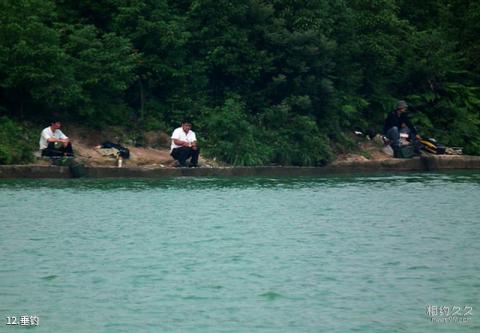 衢州九龙湖旅游攻略 之 垂钓