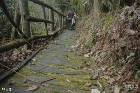 重庆江津四面山国家森林公园旅游攻略 之 山道