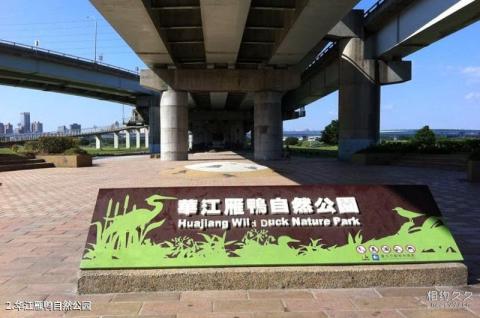台北华江雁鸭自然公园旅游攻略 之 华江雁鸭自然公园 台北华江雁鸭自然公园旅游攻略 之 华江雁鸭自然公园