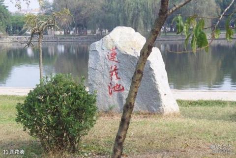 淮安涟水五岛风景区旅游攻略 之 莲花池