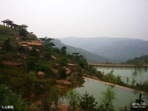 沂水天然地下画廊旅游攻略 之 山茶园