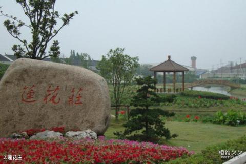 湖州市菰城景区旅游攻略 之 莲花庄