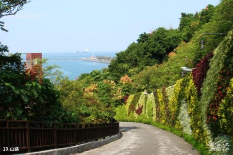 高雄西子湾风景区旅游攻略 之 山路