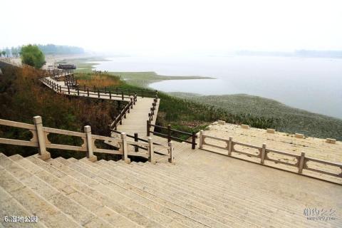 东平戴村坝旅游攻略 之 湿地公园