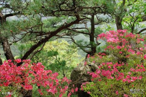 信阳市黄柏山国家森林公园旅游攻略 之 小黄山 信阳市黄柏山国家森林公园旅游攻略 之 小黄山