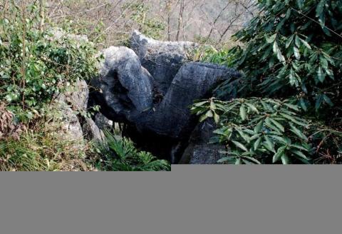 宜都奥陶纪石林旅游攻略 之 神龟迎宾