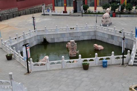 大连莲花山寺旅游攻略 之 放生池