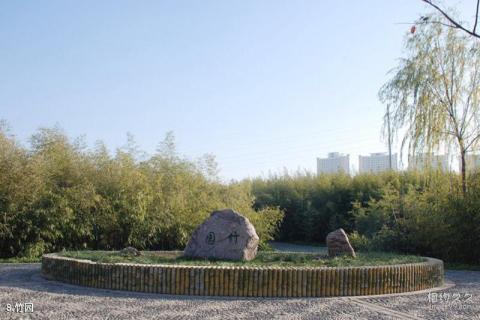 洛阳市隋唐城遗址植物园景区旅游攻略 之 竹园 洛阳市隋唐城遗址植物园景区旅游攻略 之 竹园