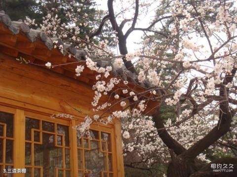 迁西县景忠山景区旅游攻略 之 三道茶棚 迁西县景忠山景区旅游攻略 之 三道茶棚