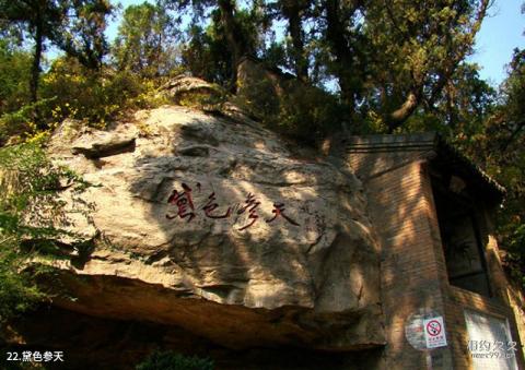 交城卦山旅游攻略 之 黛色参天