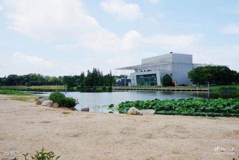 安庆菱湖风景区旅游攻略 之 皖江 安庆菱湖风景区旅游攻略 之 皖江