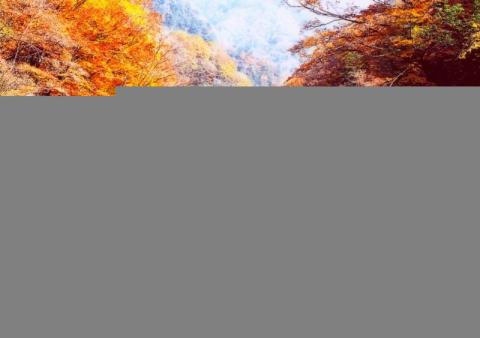 达州达县真佛山旅游攻略 达州达县真佛山旅游攻略