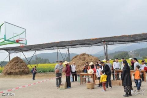 佛山盈香生态园旅游攻略 之 篮球场