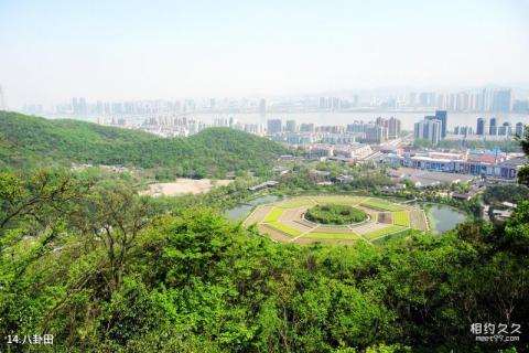 杭州玉皇山风景区旅游攻略 之 八卦田 杭州玉皇山风景区旅游攻略 之 八卦田